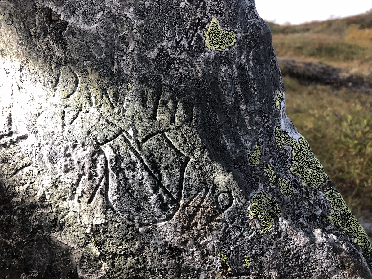 A coat of arms carved on a stone